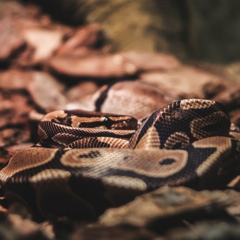 Βόλος: Ανταποκρίνεται στη θεραπεία το κορίτσι