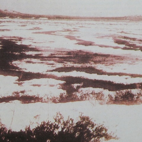 Tunguska