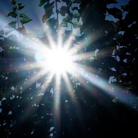 © ΚΟΝΤΑΡΙΝΗΣ ΓΙΩΡΓΟΣ / EUROKINISSI