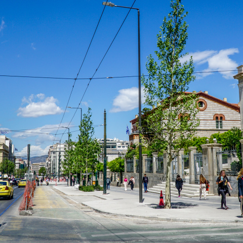 Η οδός Πανεπιστημίου