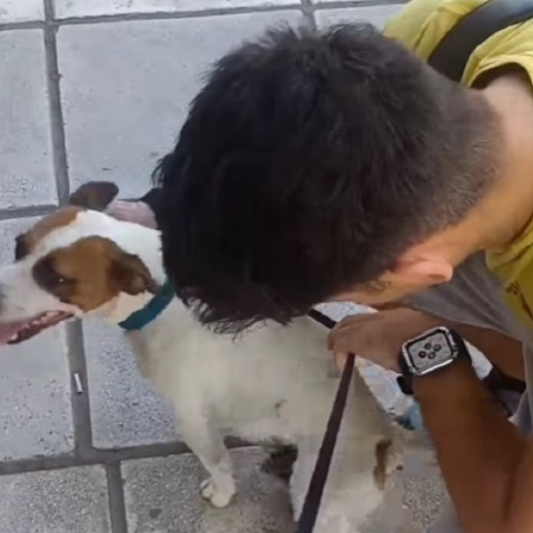 Βρήκε τον σκύλο του μετά από πέντε χρόνια