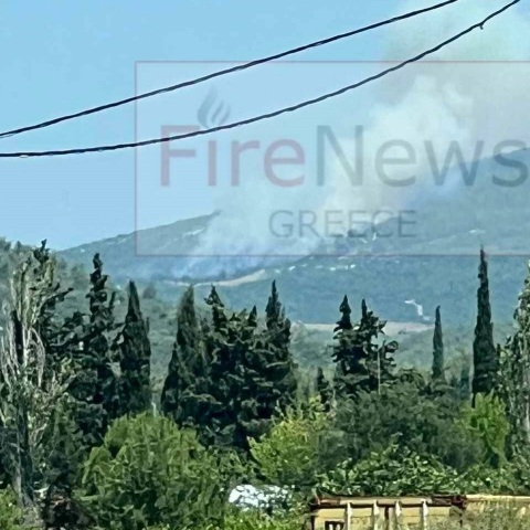 Φωτιά στο Μαρκόπουλο