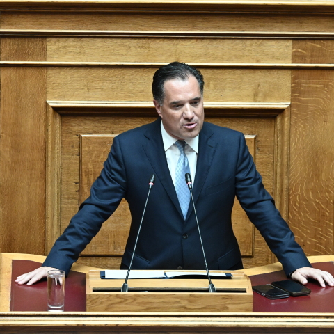 Ο Άδωνις Γεωργιάδης στη Βουλή