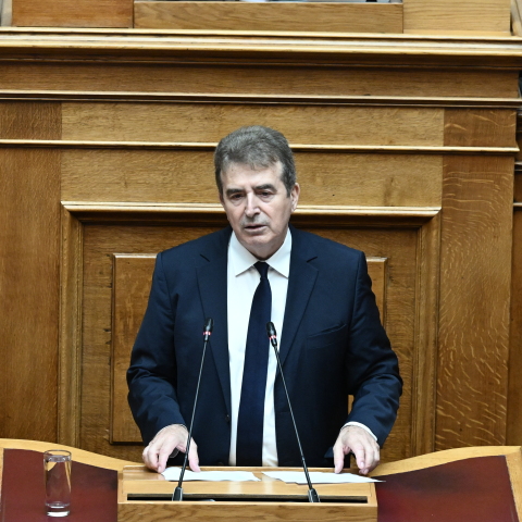 Ο Μιχάλης Χρυσοχοΐδης στη Βουλή