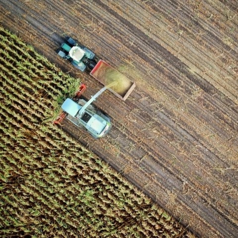 Έκθεση διαΝΕΟσις: Οι αλλαγές της Νέας ΚΑΠ - Πόσο επηρεάζεται η Ελλάδα