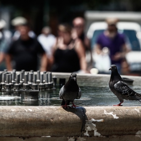 Καύσωνας - Βασιλακόπουλος: Η ιδανική θερμοκρασία του κλιματιστικού
