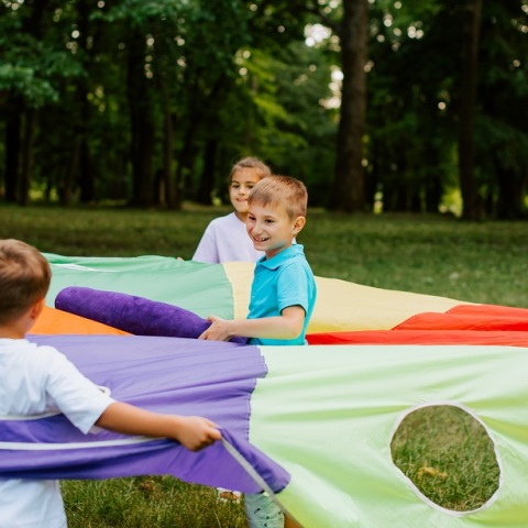 Έμφαση δίνεται στην αποτελεσματική υλοποίηση και υποστήριξη προγραμμάτων που προωθούν τον θεσμό της Αναδοχής.
