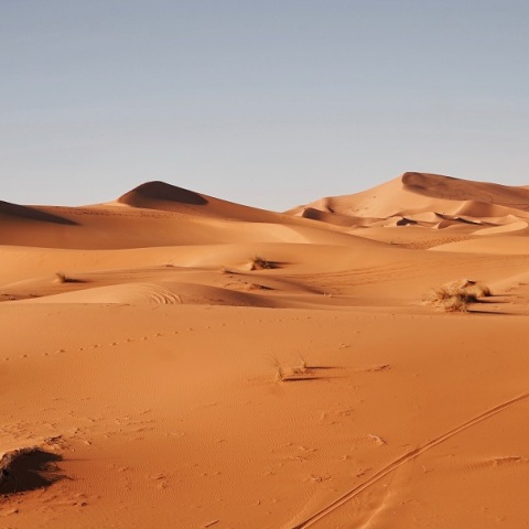 Copernicus: Ο αέρας στη Ν. Ευρώπη επηρεάζεται από τη σκόνη της Σαχάρας