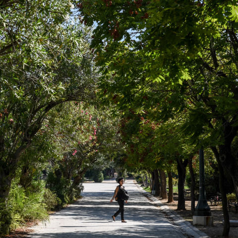 Πεδίον του Άρεως