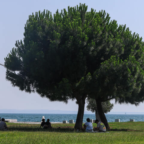 Καύσωνας στη Θεσσαλονίκη