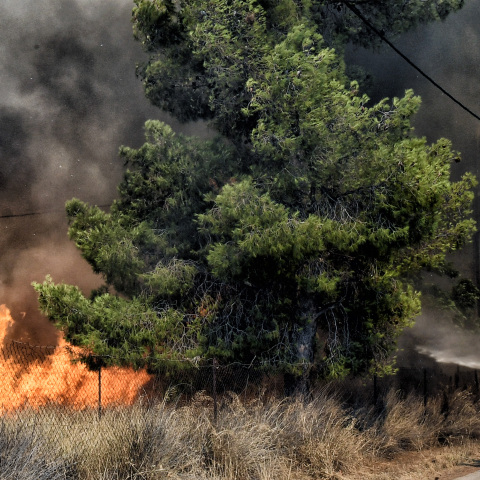 Φωτιά στο Λουτράκι