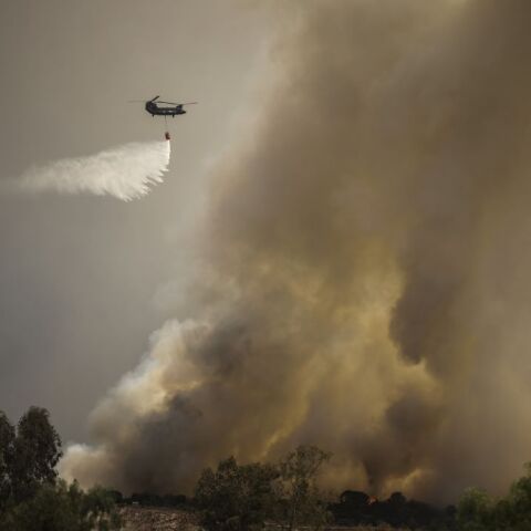 Dimitris Kapantais / SOOC