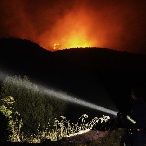 © Nick Paleologos / SOOC