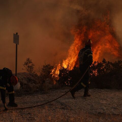 © Nick Paleologos / SOOC