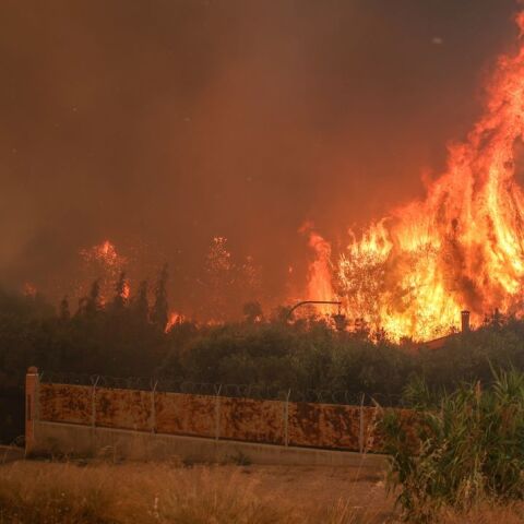 © Aris Oikonomou/ SOOC