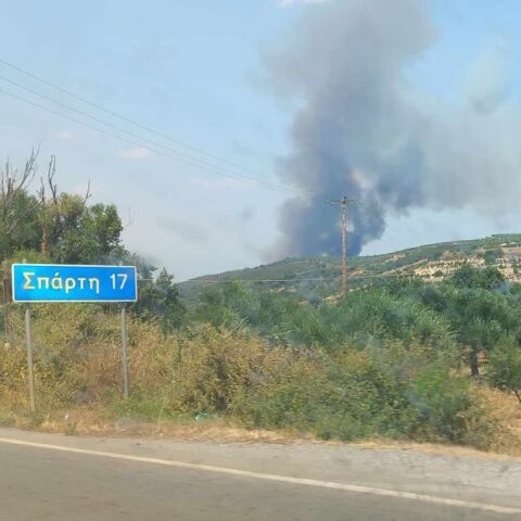 Φωτιά τώρα στη Λακωνία