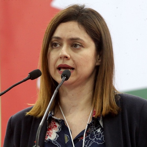Ζέφη Δημαδάμα: Από το ΠΑΣΟΚ μεταπήδησε στη ΝΔ ως γγ Ισότητας