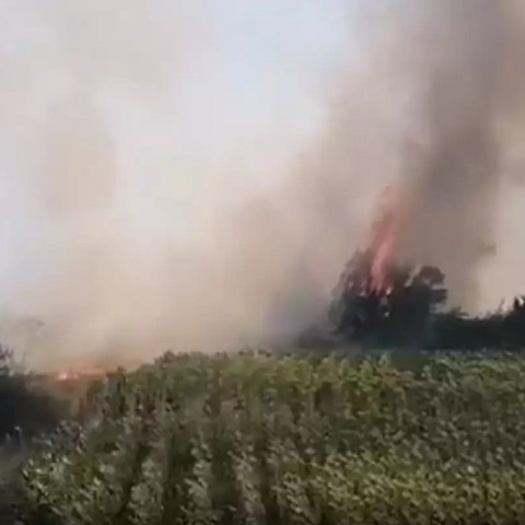 Φωτιά τώρα στο Διδυμότειχο - Κοντά σε κατοικημένη περιοχή