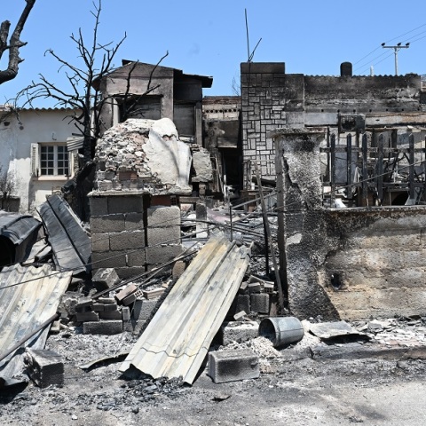 Φωτιά στον Κουβαρά: Εισαγγελική έρευνα για τα ζώα που κάηκαν