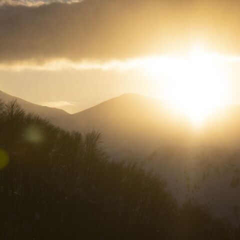 @ Dimitris Tosidis / SOOC