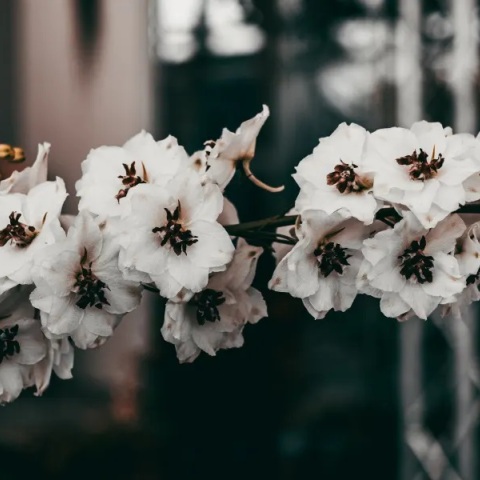 Εορτολόγιο: Σήμερα 22 Ιουλίου 2023 γιορτάζει…