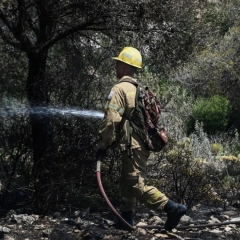 Φωτιά τώρα στην Υλίκη Βοιωτίας