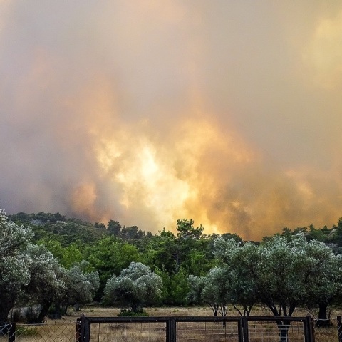 Φωτιά στη Ρόδο: Διεθνή ΜΜΕ καλύπτουν τις καταστροφικές πυρκαγιές
