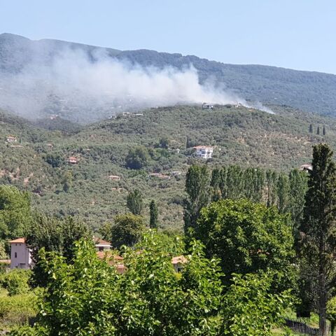 Φωτιά στο Πήλιο