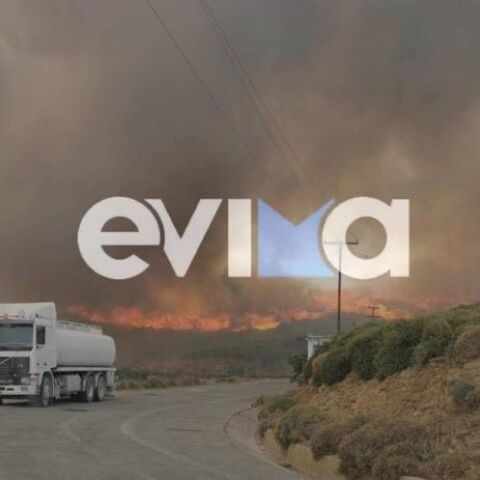 Φωτιά στην Κάρυστο