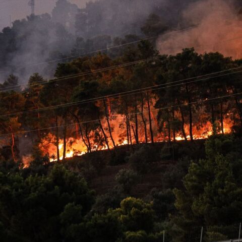 © Menelaos Michalatos / SOOC