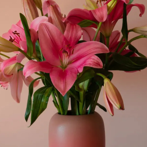 © Unsplash /Earl Wilcox