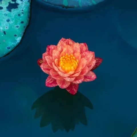 Εορτολόγιο: Σήμερα 26 Ιουλίου 2023 γιορτάζει…