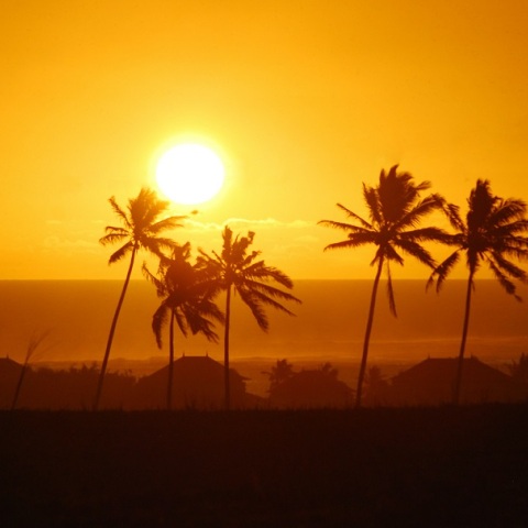 ΟΗΕ: Ο φετινός Ιούλιος είναι «ο θερμότερος μήνας που έχει καταγραφεί ποτέ»