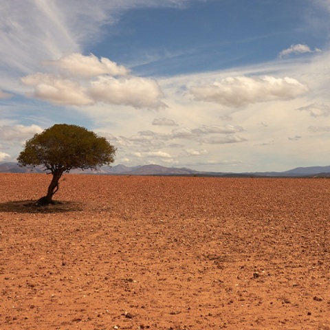Γκουτέρες: Η υπερθέρμανση τελείωσε - Ο πλανήτης στη φάση «βρασμού»