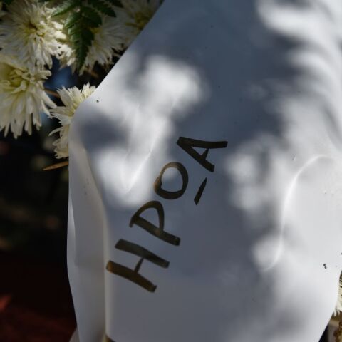 © Christos Karras / SOOC