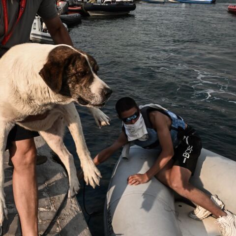 © ΤΑΤΙΑΝΑ ΜΠΟΛΑΡΗ/EUROKINISSI