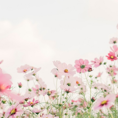 Εορτολόγιο: Σήμερα 28 Ιουλίου 2023 γιορτάζει…