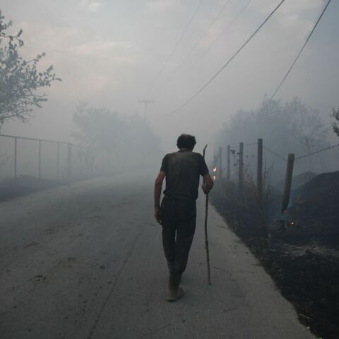 © Nephele Nomikou / SOOC