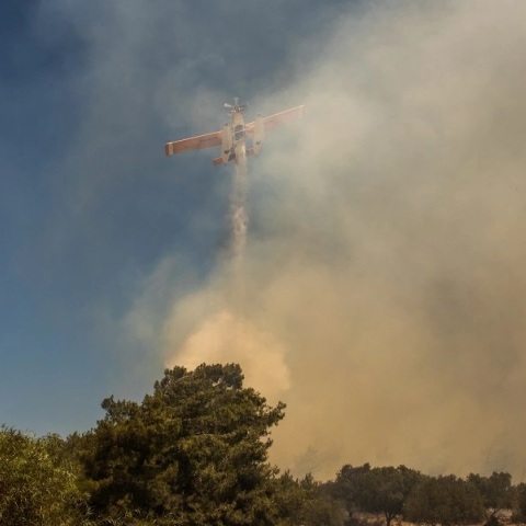Φωτιά τώρα σε δασική έκταση στην Πέλλα