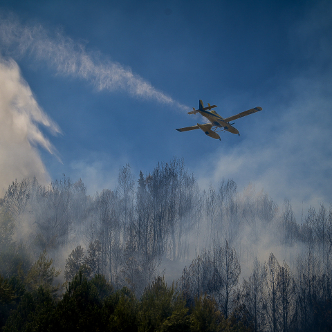 Φωτιά στην Ηλεία