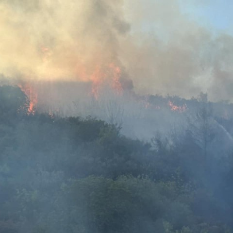 Φωτιά στον Βαρνάβα Αττικής