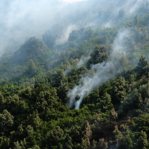 Καπνοί δασικής πυρκαγιάς