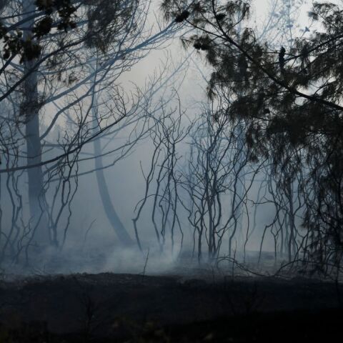 © Nephele Nomikou / SOOC