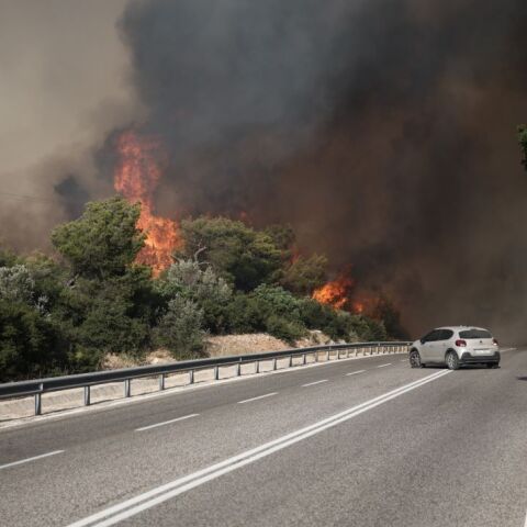 Φωτιά - Εμπρηστές