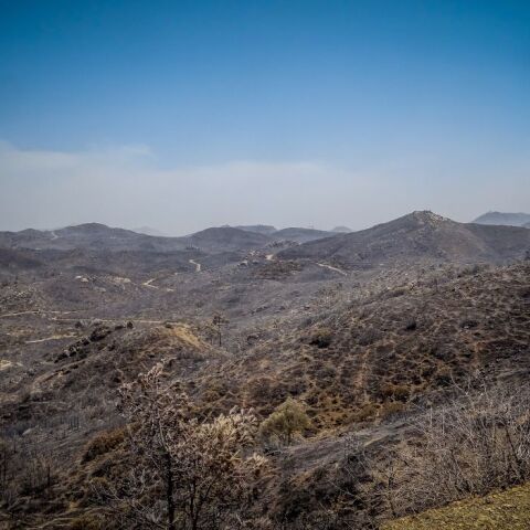 Καμένες δασικές εκτάσεις στη Ρόδο
