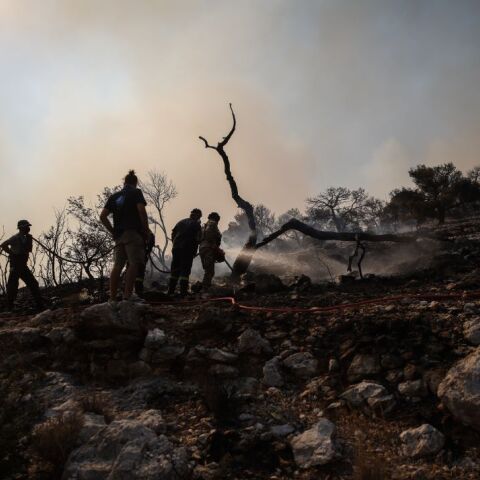 © Aris Oikonomou / SOOC