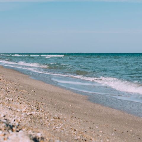 © Rodion Kutsaiev/ Unsplash