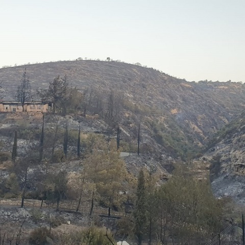 H επόμενη μέρα μετά τη μεγάλη φωτιά στην Κύπρο