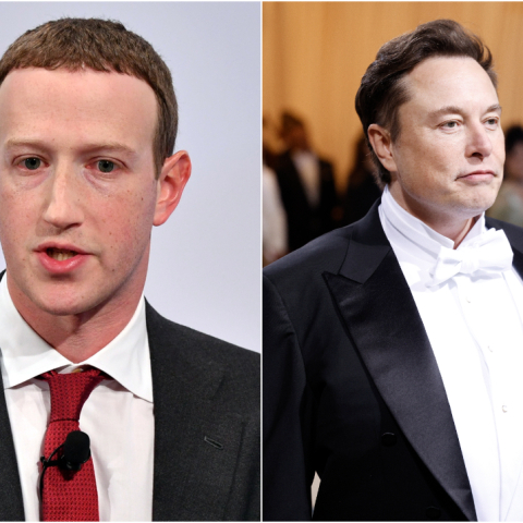 Mark Zuckerberg - Elon Musk