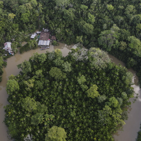 O Αμαζόνιος ποταμός και το δάσος του